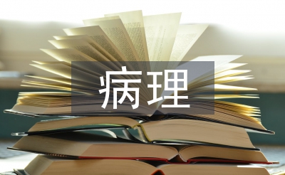 病理醫生發展工作計劃